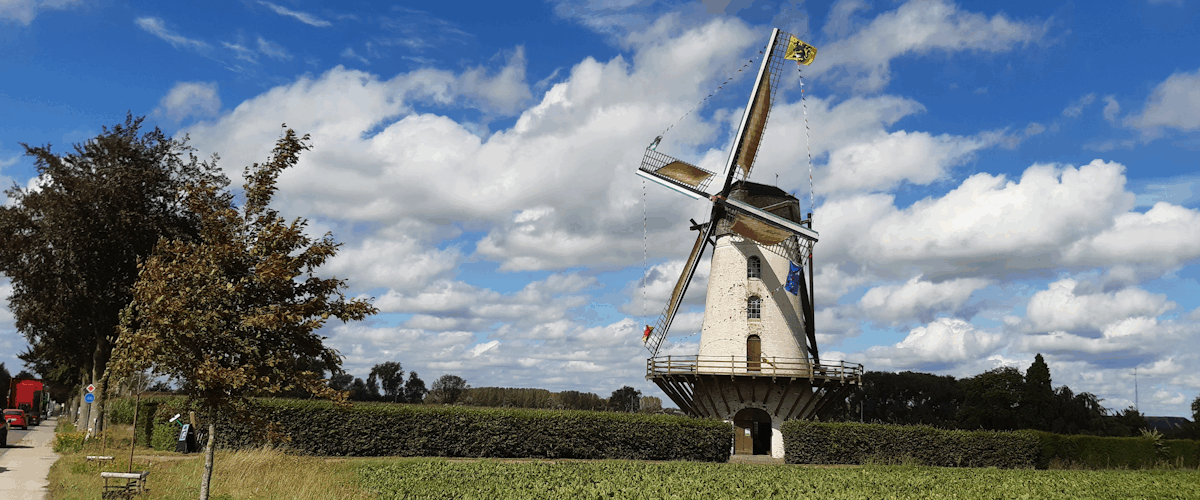 De Vlaamse Molencontest