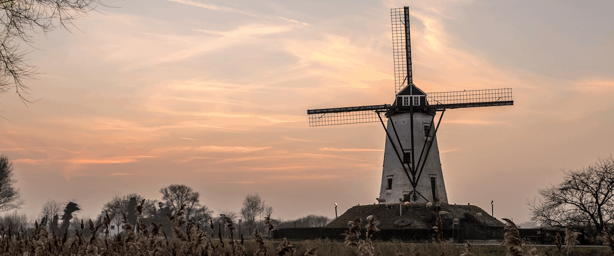 De Vlaamse Molencontest